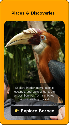 Borneo Culture & Heritage: Exploring the Living Traditions of Sabah & Sarawak